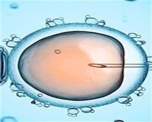 有正规卵子库吗-供卵试管费用是多少_马伊琍二胎被猜测是女儿 文章取名叫爱马